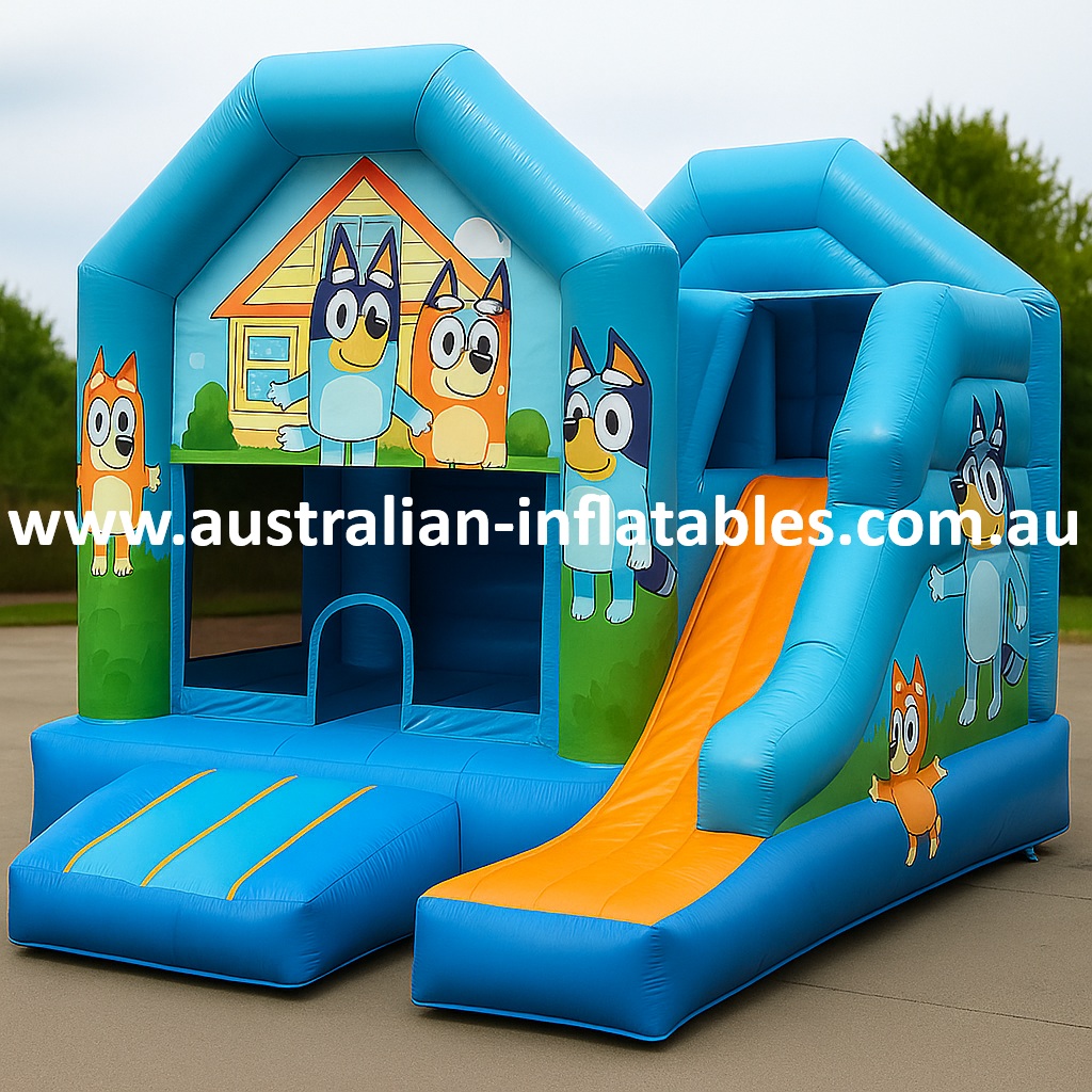 Bluey Jumping Castle Combo